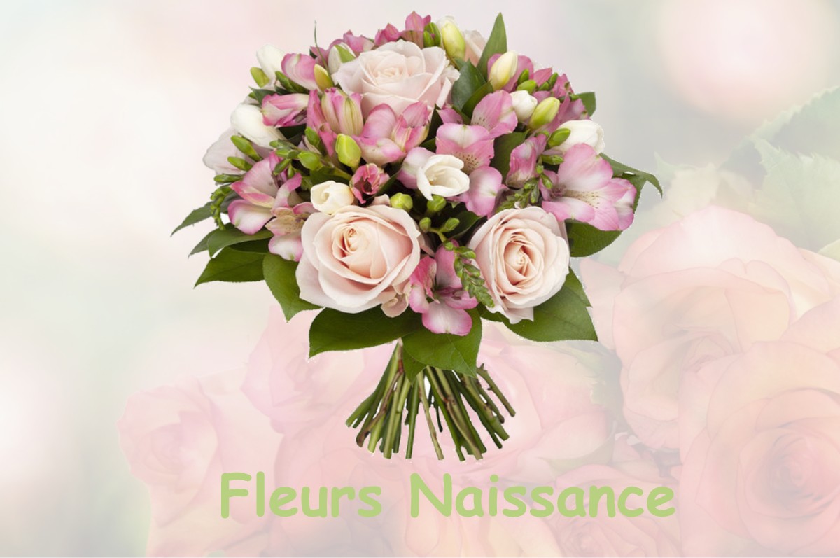 fleurs naissance SAINT-PIERRE-DES-BOIS