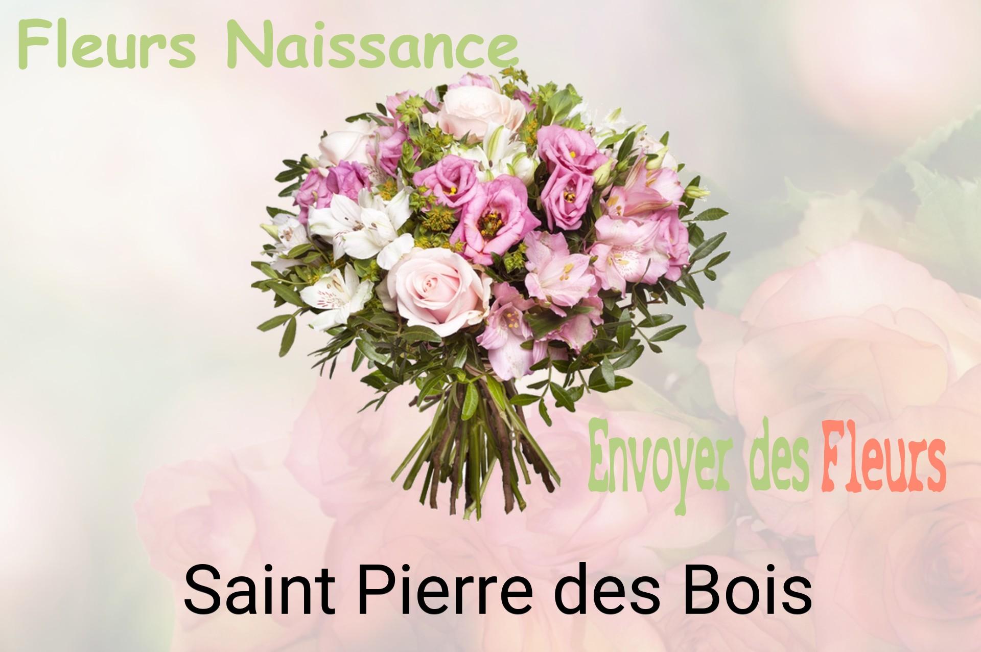 Bouquet de fleurs de naissance livré à Saint-Pierre-des-Bois